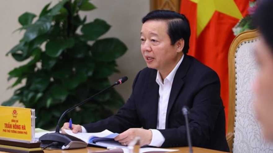 Deputy PM urges expediting Long Thanh Airport project